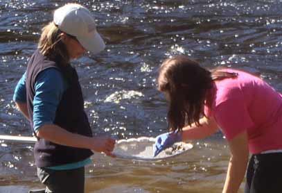 Hannah Webber, Education Research Manager at SERC Institute and a John Bapst student collect samples in the Kenduskeag Stream, Bangor.